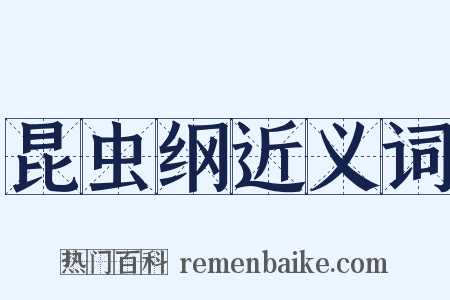 昆虫纲近义词是什么意思的图片